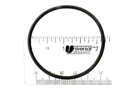 ECX1287 GAUGE O-RING O424 HAYWARD ECX1287