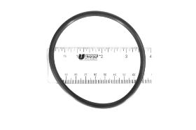 HAYWARD CL100/CL110 CHLORINATOR COVER O-RING